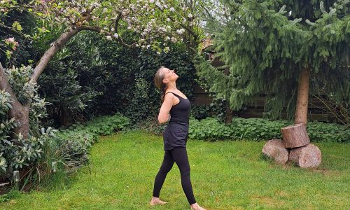 Yogakurse für Erwachsene